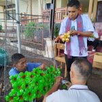 WhatsApp Image 2025-11-19 at 07.40.27